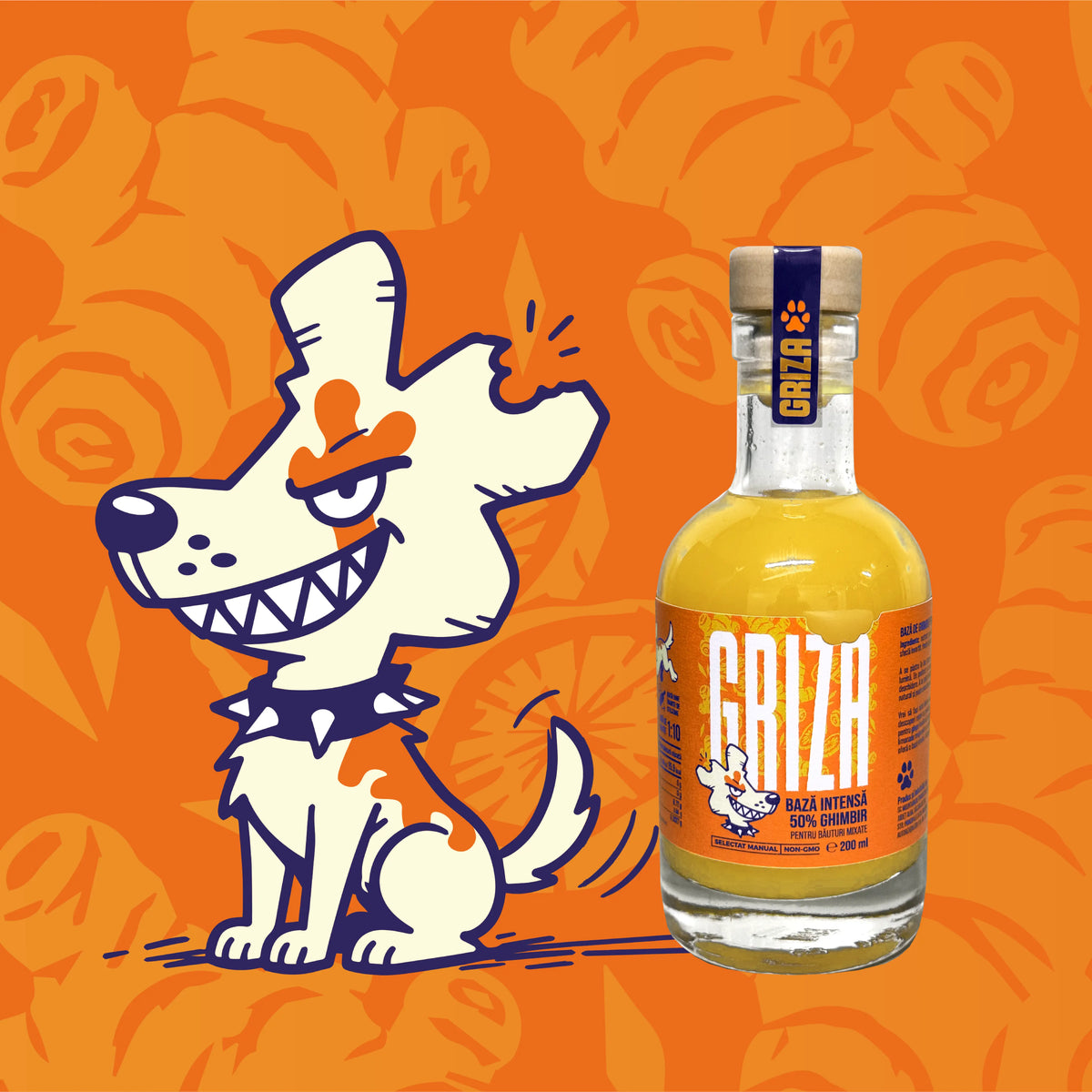 Bază de ghimbir Griza 200 ml cu 50% ghimbir, sticla de cadou, alături de mascota Ginger Head